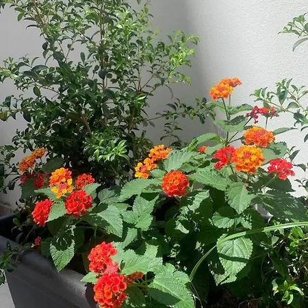 Salentop Apartmán Lecce